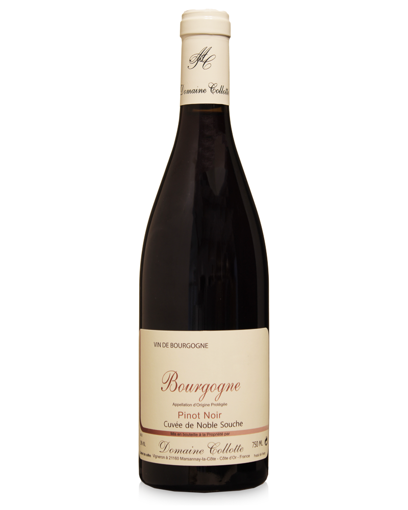 Domaine Collotte Bourgogne Pinot Noir 2023 750ml