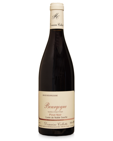 Domaine Collotte Bourgogne Pinot Noir 2023 750ml