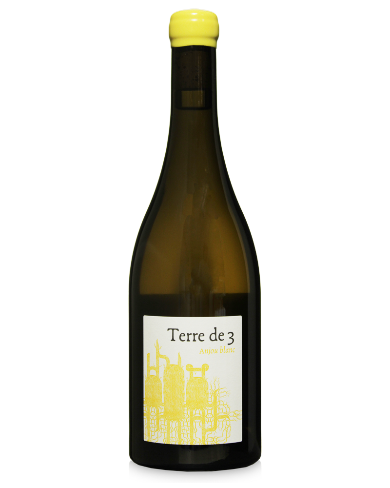 Terra Vita Vinum 'Terre de 3' 2022 750ml